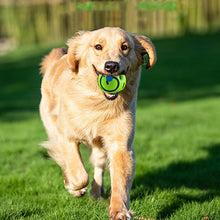 Load image into Gallery viewer, Pawtivate™ - Dog Giggle Ball